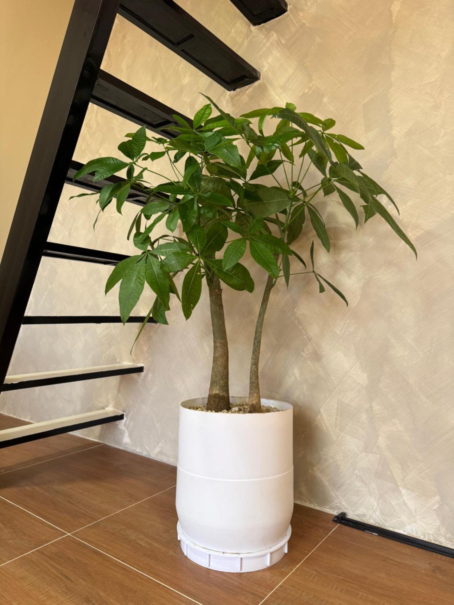 Hardin De Marbella Hotell El Nido Exteriör bild